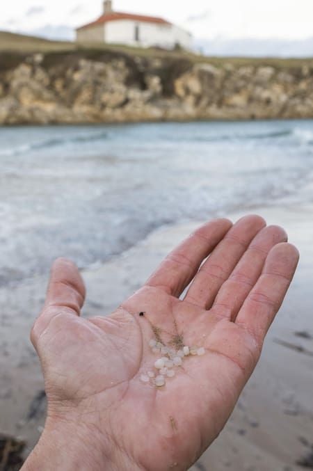 Mares, océanos, contenedores. Foto EFE.