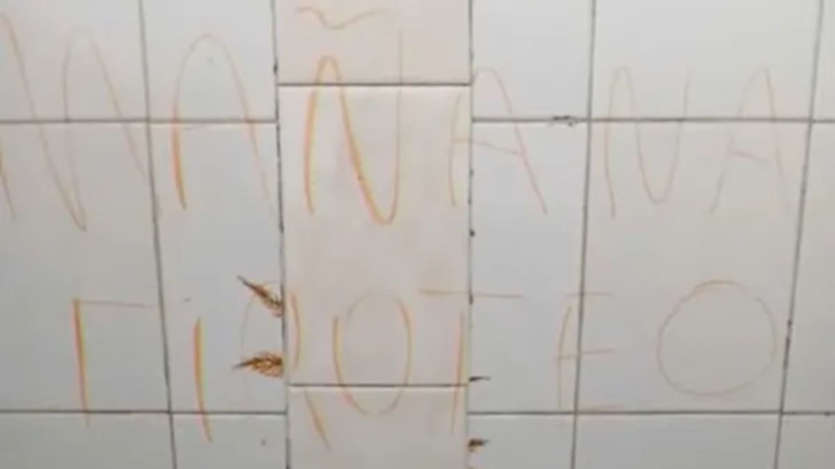 Crece el terror por la ola de mensajes intimidatorios en distintas escuelas del país: “Viernes, los vamos a matar”