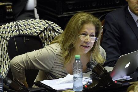 Graciela Camaño, Frente Renovador, Diputados, Política