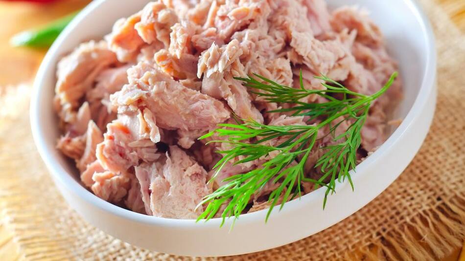 Empanadas de vigilia: el paso a paso de una opción rica, saludable e ideal para disfrutar en Semana Santa