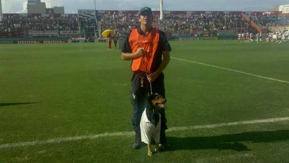 Perro que cumplió 15 años - Le hicieron asado