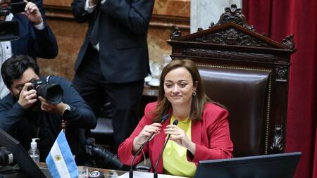 Cecilia Moreau, Diputados, Gobierno, NA