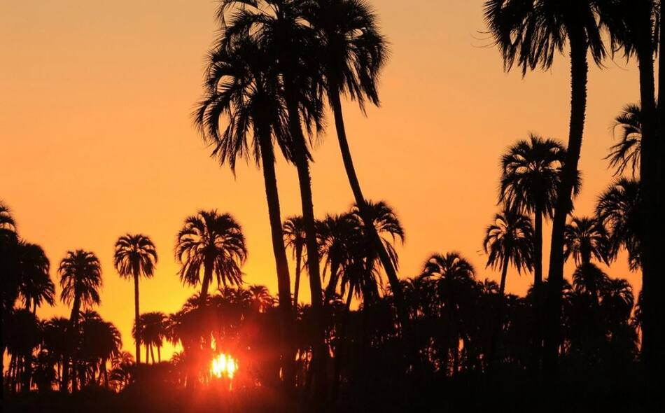 El Palmar, Turismo, Entre Ríos