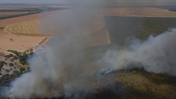 Los incendios forestales en Brasil durante 2023 destruyeron un área del tamaño de Uruguay
