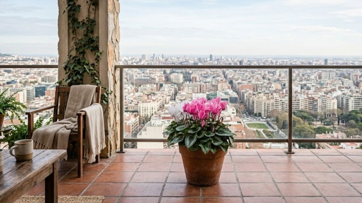 Esta planta disfruta las bajas temperaturas y no necesita sol directo. (Foto Gemini)