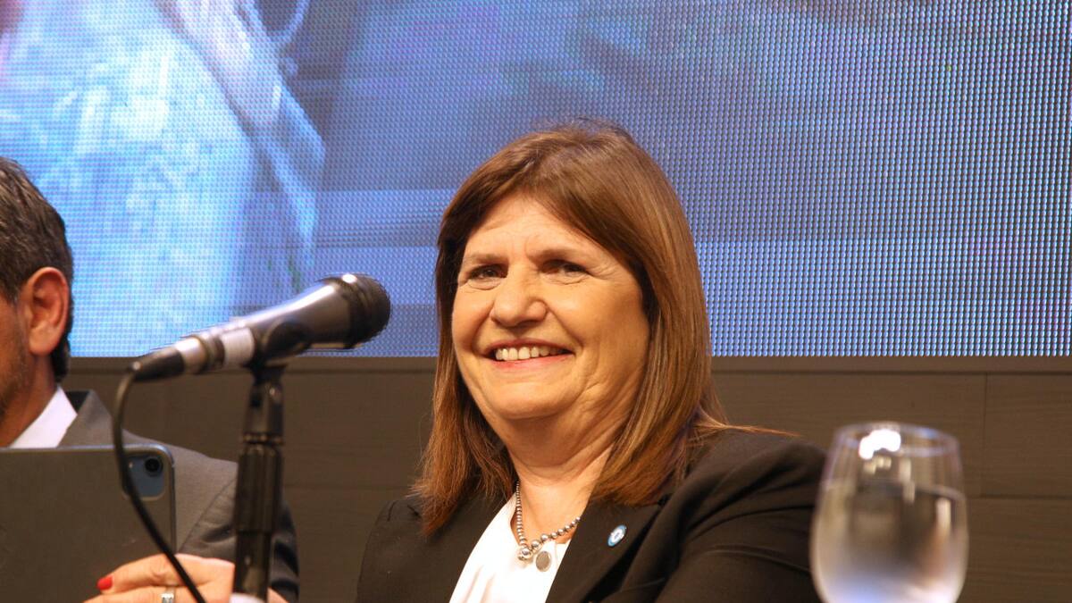 Conferencia de prensa de Patricia Bullrich. Foto: NA