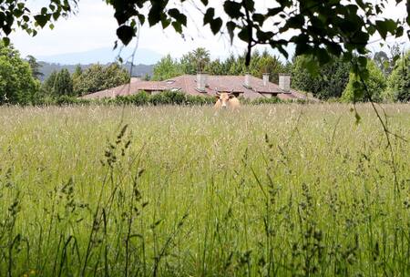 La mansión que compró Julio Iglesias en Galicia. Foto gentileza.