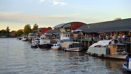 El destino ideal para una escapada romántica en San Valentín. Foto: Municipio de Tigre.