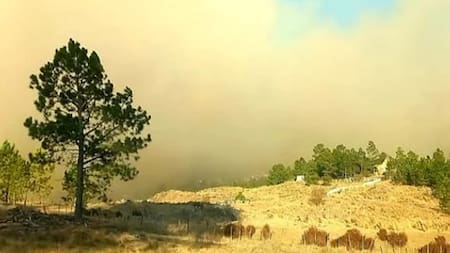 Incendios en Cordoba. Foto: NA.