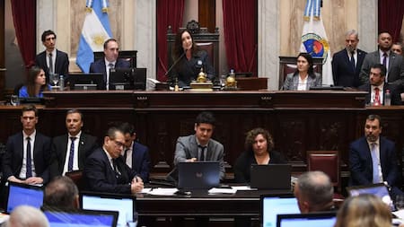 Sesión del Senado. Foto: Departamento de Fotografía - Senado de la Nación