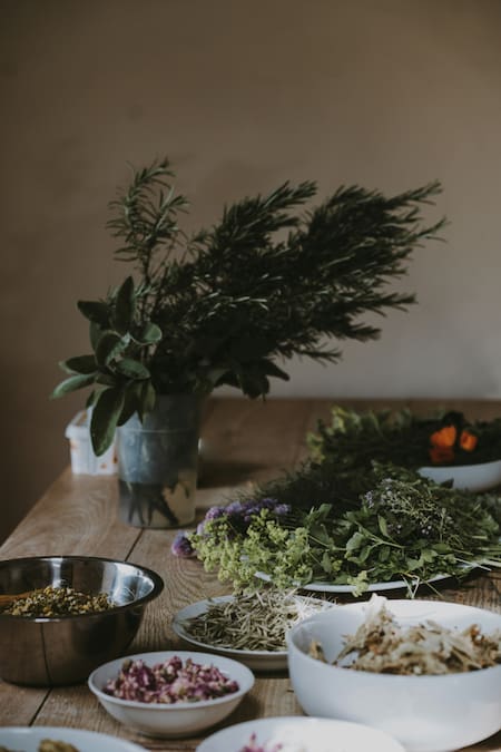 Hierbas, té, infusión. Foto: Unsplash