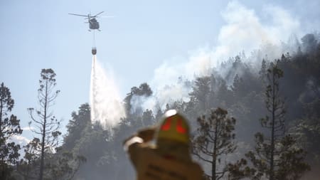 Incendio en el Parque Nacional Los Alerces. Foto: Télam.