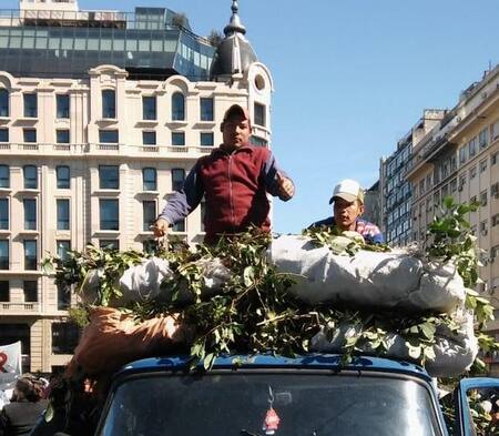 Yerbatazo - Ministerio de Trabajo