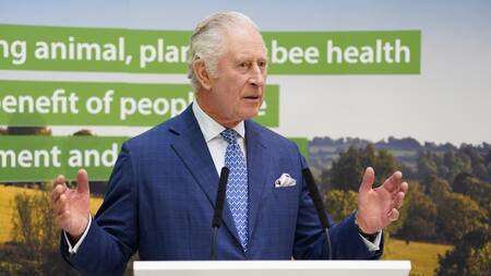 Rey Carlos III de Inglaterra. Foto: REUTERS.