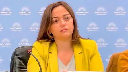 Cecilia Moreau, legisladora. Foto: CDN