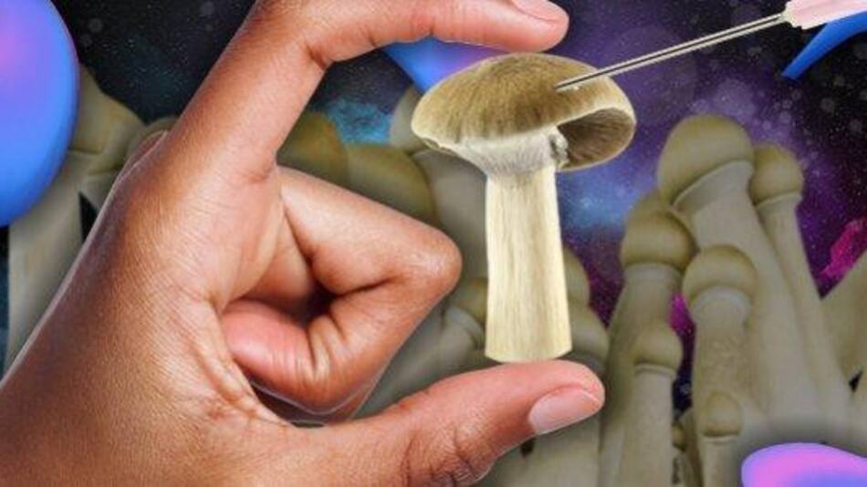 Hongos alucinógenos inyectable