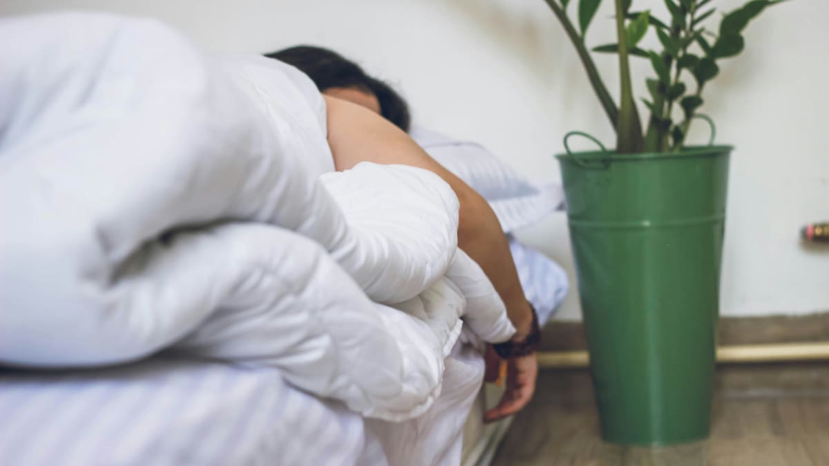Dormir, descanso, sueño. Foto: Unsplash