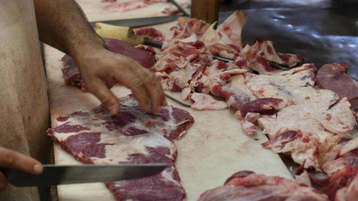 Carne, exportación