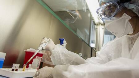 Coronavirus, científicos argentinos, NA