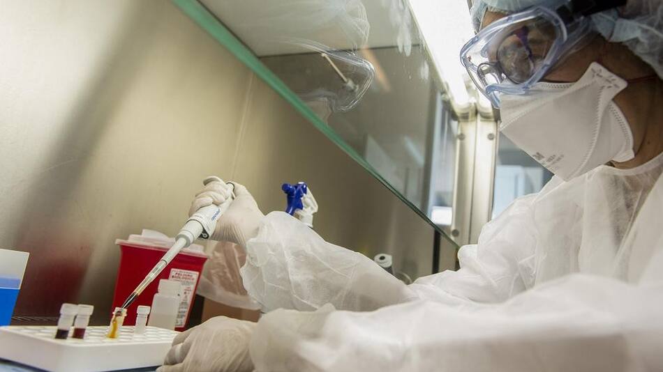 Coronavirus, científicos argentinos, NA