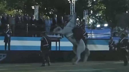 Video: un caballo se alteró durante la entrega del sable corvo y arrojó al suelo a un granadero delante de Milei