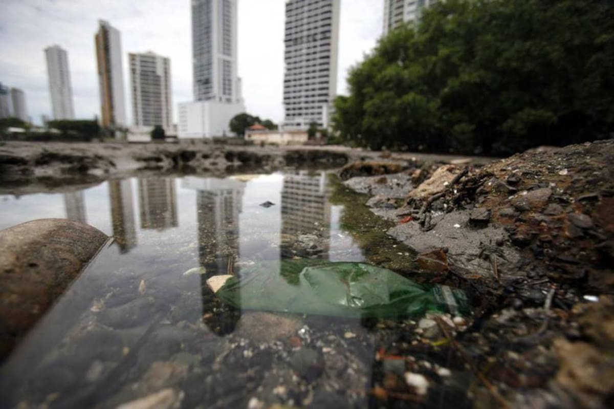 Día Internacional de la Tierra: los 5 problemas que enfrenta el medio ambiente