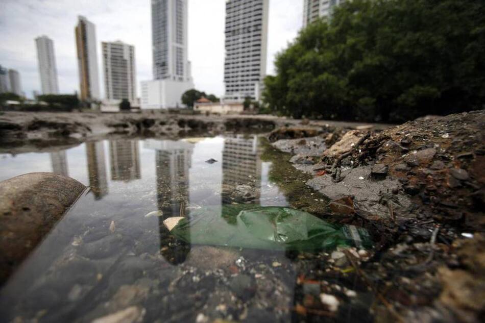 Día Internacional de la Tierra: los 5 problemas que enfrenta el medio ambiente