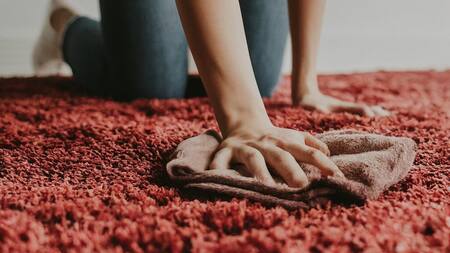 Alfombra, limpieza, higiene. Foto: Canal26.com