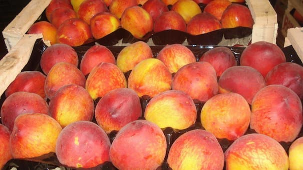 Conflicto en Mendoza por el precio de los duraznos: cruce entre productores e industria