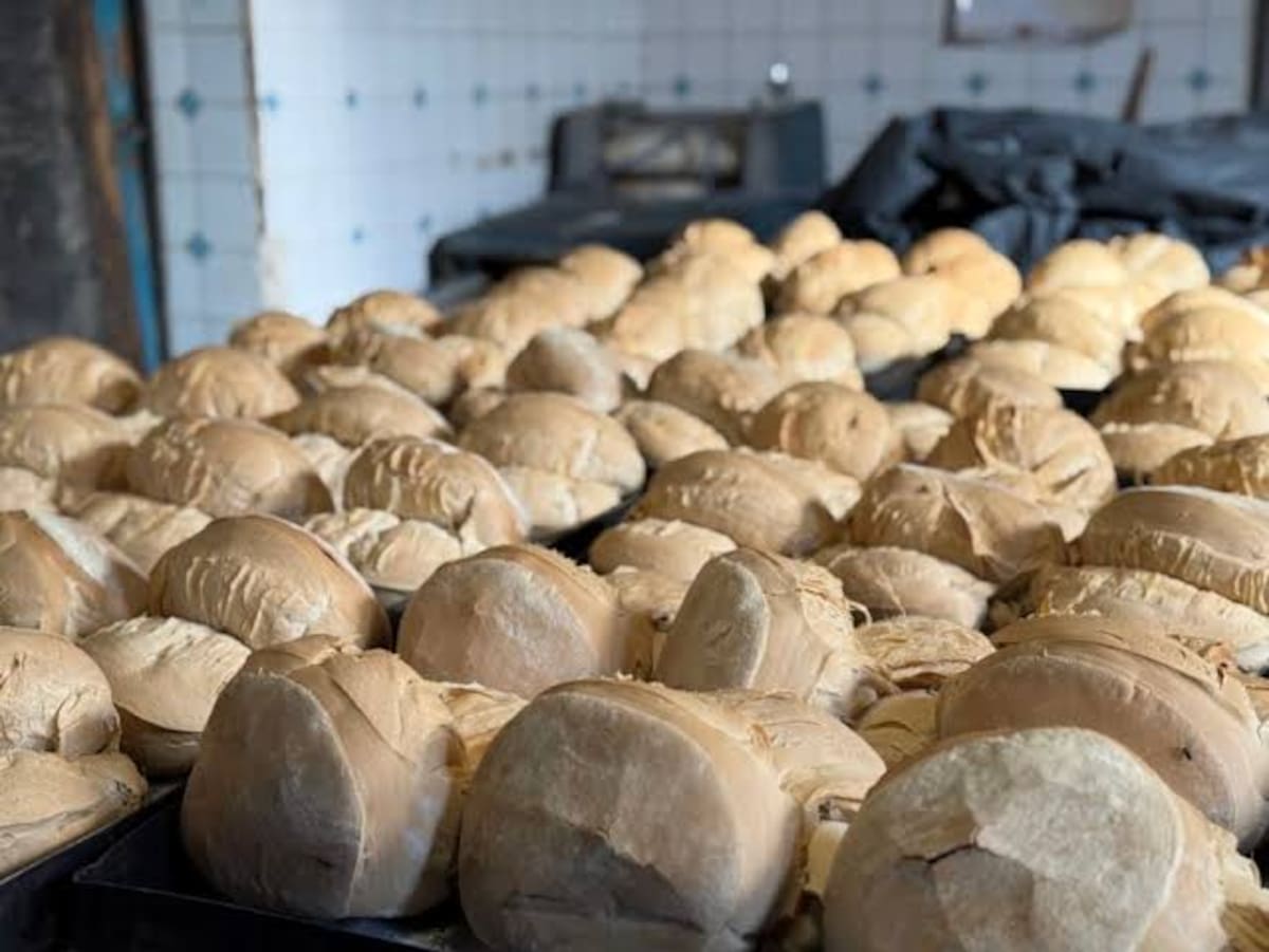 Multitud reunida durante la Fiesta de la Galleta de Campo en Tomás Jofré con canastos de pan artesanal en primer plano.
