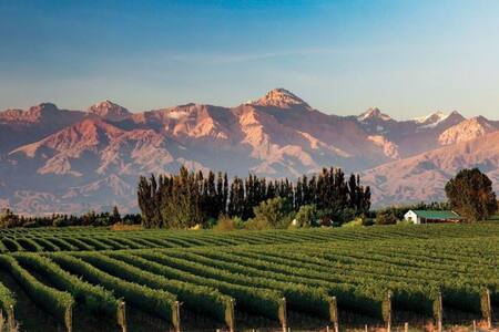 Valle de Uco. Fuente: Turismo Mendoza