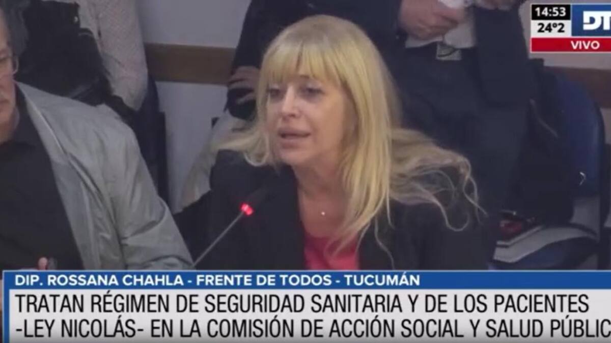 Avanzó el proyecto sobre seguridad del paciente y la iniciativa que regula la actividad del acompañante terapéutico. Foto: Captura de pantalla.