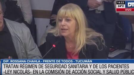 Avanzó el proyecto sobre seguridad del paciente y la iniciativa que regula la actividad del acompañante terapéutico. Foto: Captura de pantalla.