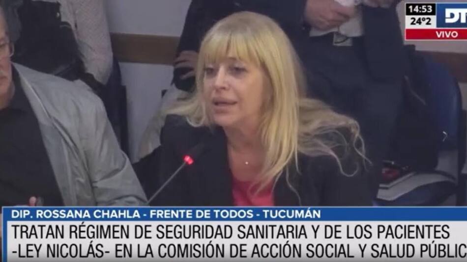 Avanzó el proyecto sobre seguridad del paciente y la iniciativa que regula la actividad del acompañante terapéutico. Foto: Captura de pantalla.