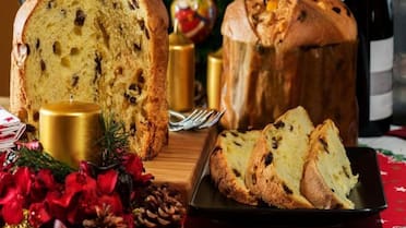 No hay que amasar: cómo preparar un pan dulce estilo panettone en licuadora y sorprender en la mesa navideña