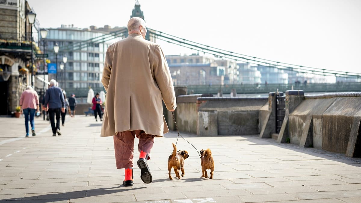Paseo de perros.