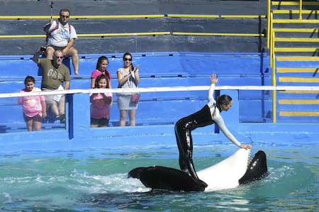 Miami Seaquarium. Foto: Reuters