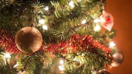 Árbol de Navidad. Foto: Unsplash.