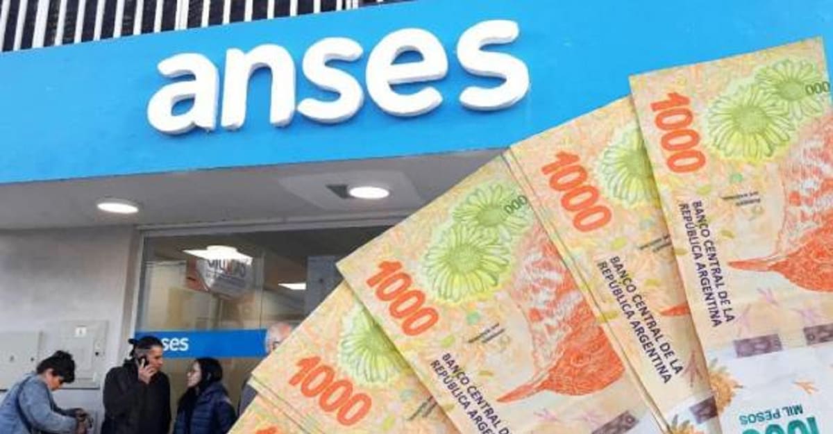 ANSES. Foto: NA.