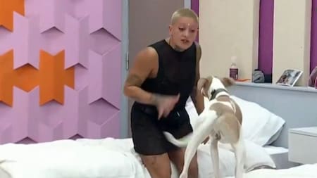 Furia y Arturo, Gran Hermano. Foto: captura