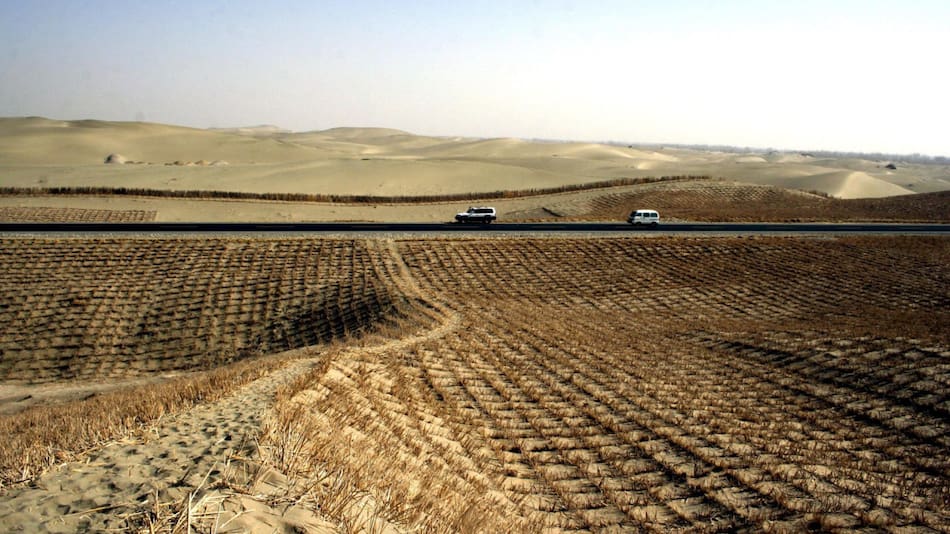 Desierto de Taklamakan, China. Foto: EFE.