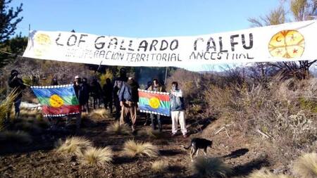 Tierras tomadas: mapuches ocuparon un campo en Río Negro y dicen volver a su “territorio ancestral”