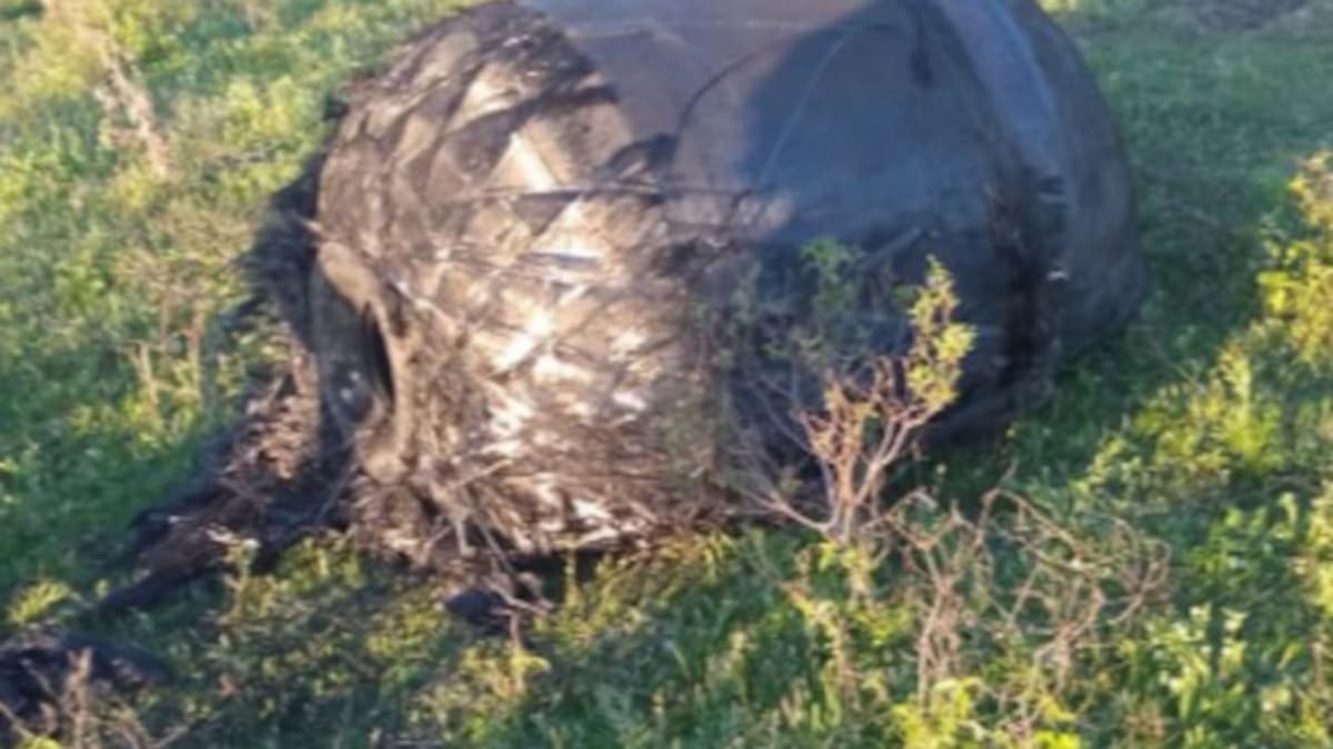 ¿OVNIS en Chaco?: hallaron un objeto espacial desconocido en un campo de Puerto Tirol