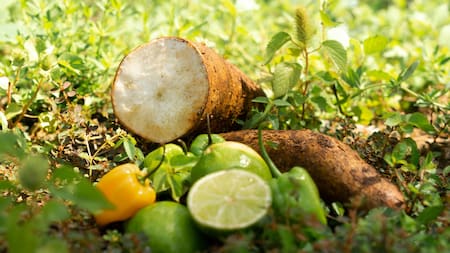 Los tubérculos se convirtieron en un alimento fundamental para los deportistas. Foto Pexels.