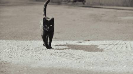 Mala suerte. Foto: Pexels.