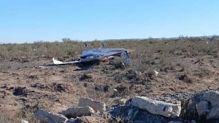 Cayó una avioneta en Río Negro. Foto: NA.