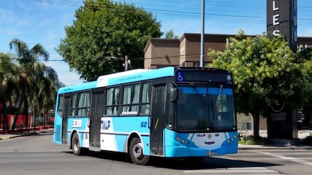 Línea 338. Fuente: X @NiatoLeproso