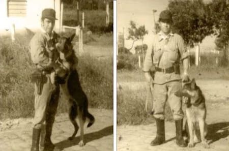 Chonino, el perro policía que murió mientras cumplía con su deber. Foto: X/@carlosvorhemus