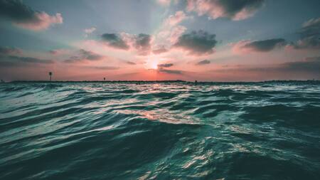 Los científicos pueden acceder al catálogo de forma remota para investigar cómo funcionan los diferentes ecosistemas oceánicos. Foto: Unsplash.