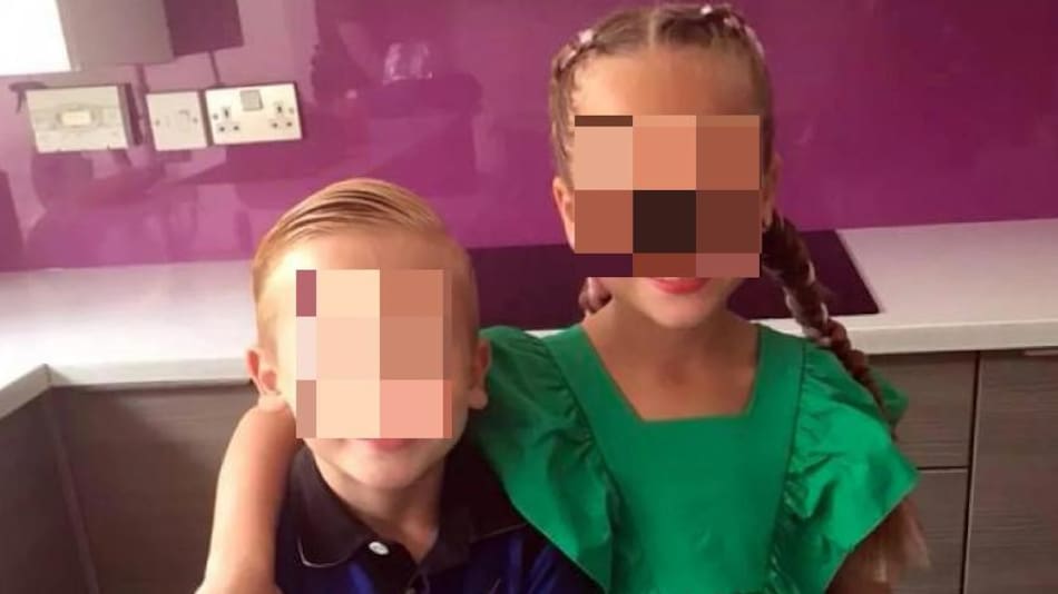 Ataque de delfín a nena en México